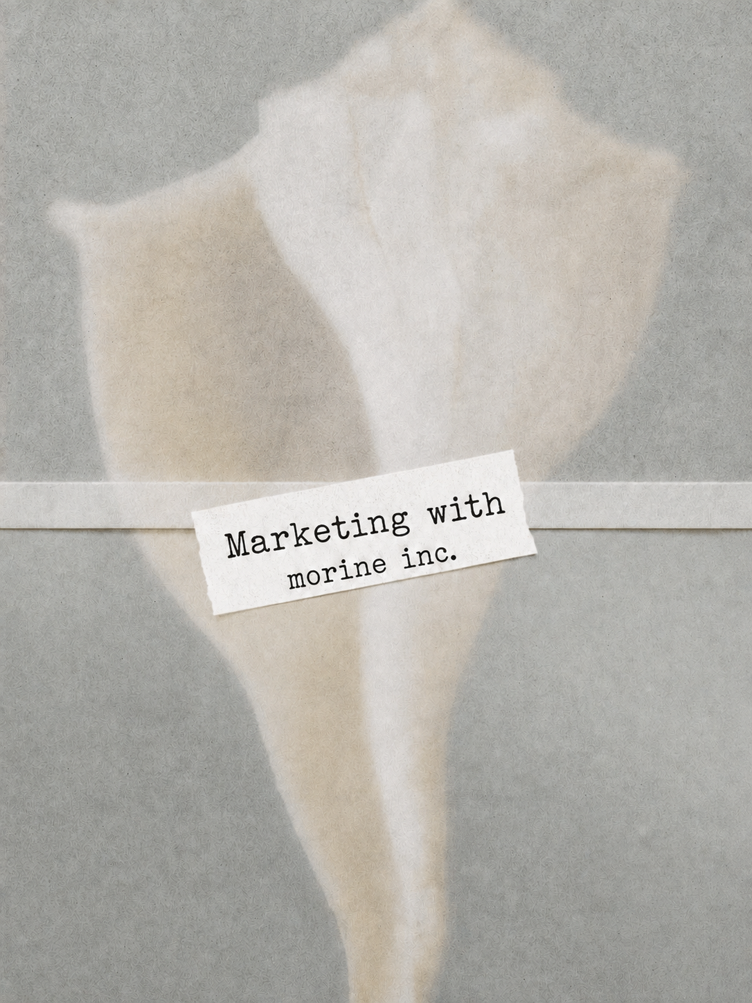 Market Entry and Brand Direction